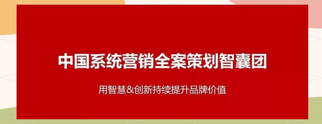 市场营销战略规划与策划书撰写完全指南 从顶层设计到落地执行